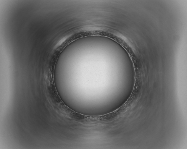 X0000111880871200907301135