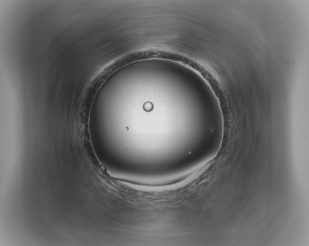 X0000111880872200907301135