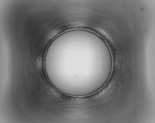 X0000111880873200907301135