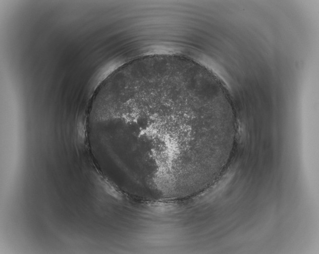 X0000111880874200907301135