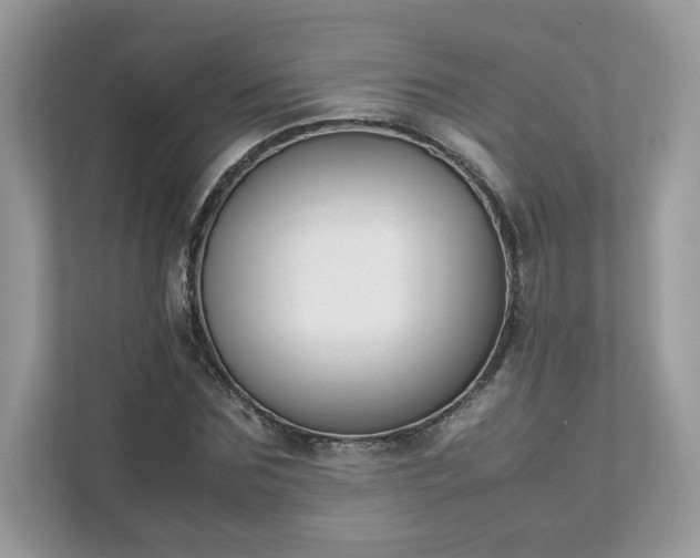 X0000111880875200907301135