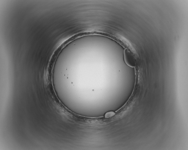 X0000111880876200907301135