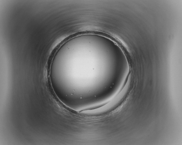 X0000111880877200907301135