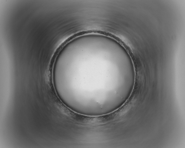 X0000111880879200907301135