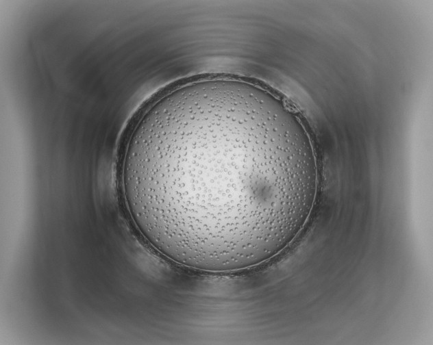 X0000111880880200907301135