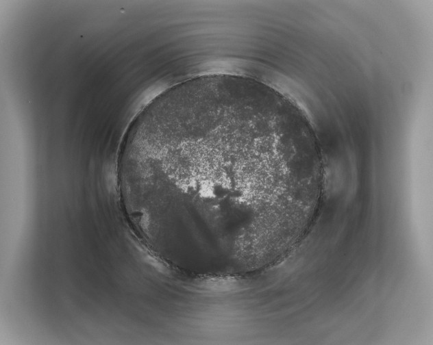X0000111880882200907301135