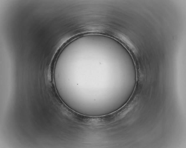 X0000111880883200907301135