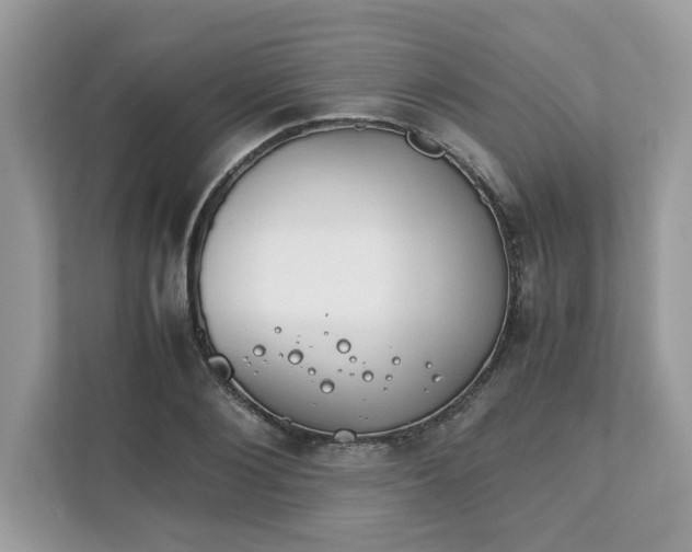 X0000111880884200907301135