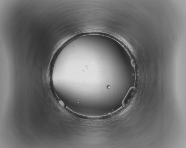X0000111880885200907301135