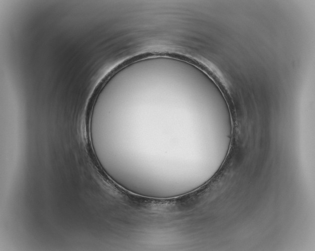 X0000111880887200907301135