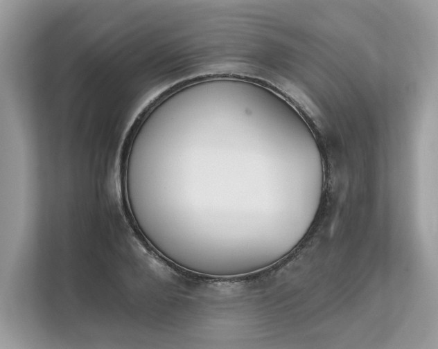 X0000111880888200907301135