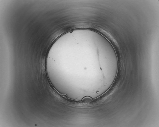X0000111880889200907301135