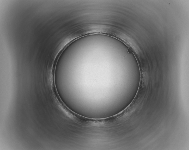 X0000111880890200907301135
