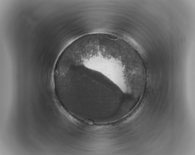 X0000111880892200907301135