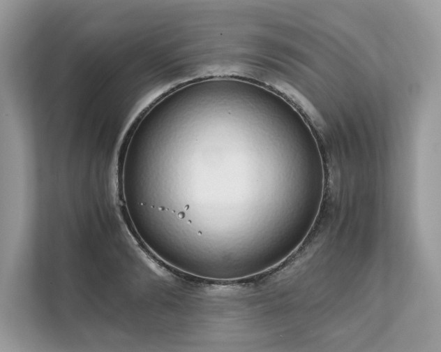 X0000111880894200907301135