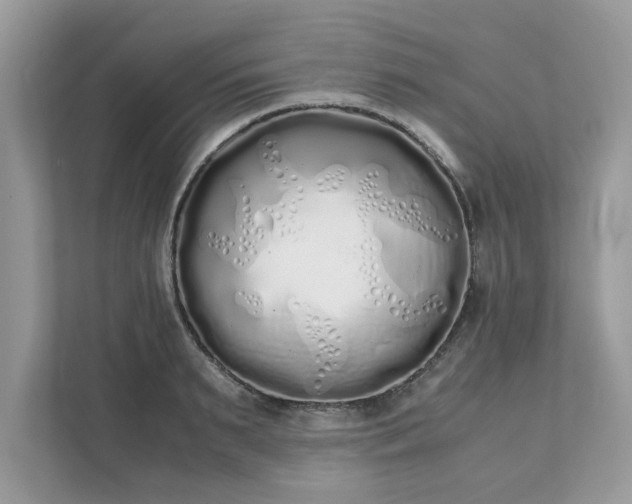X0000111880895200907301135