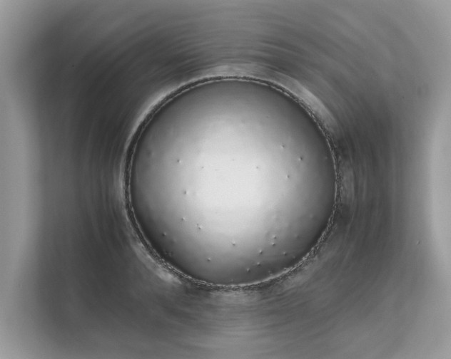 X0000111880896200907301135