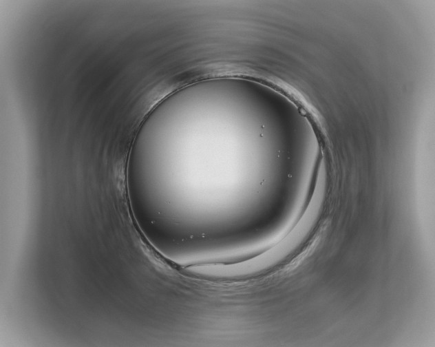 X0000111880897200907301135