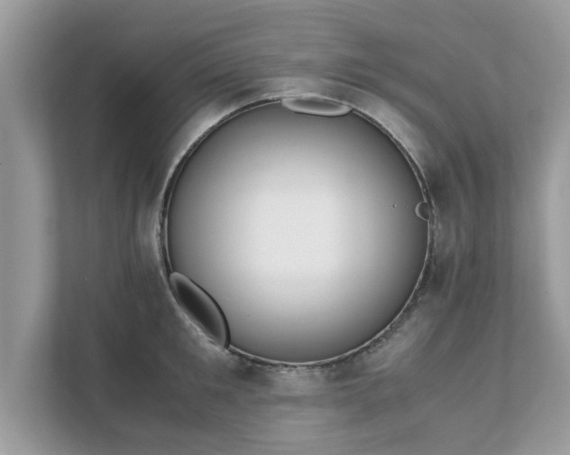 X0000111880901200907301135
