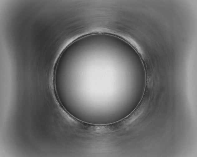 X0000111880903200907301135
