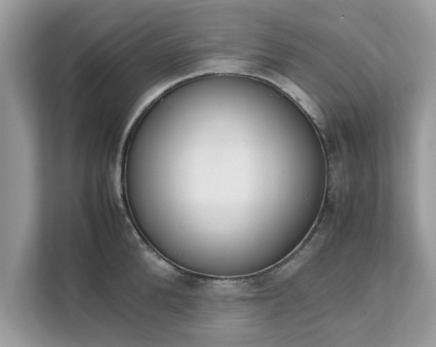 X0000111880904200907301134