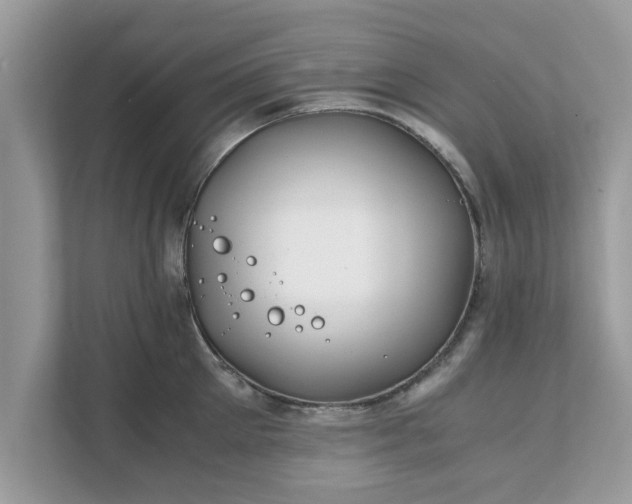 X0000111880905200907301134
