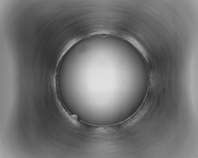 X0000111880906200907301134