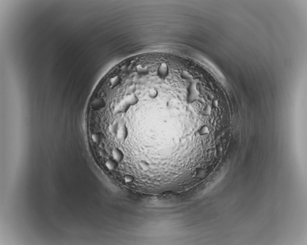 X0000111880907200907301134