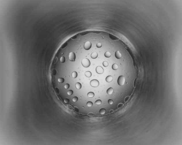 X0000111880908200907301134