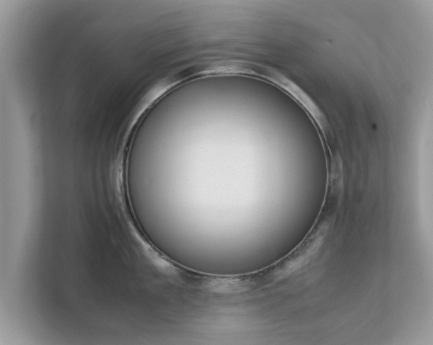 X0000111880909200907301134