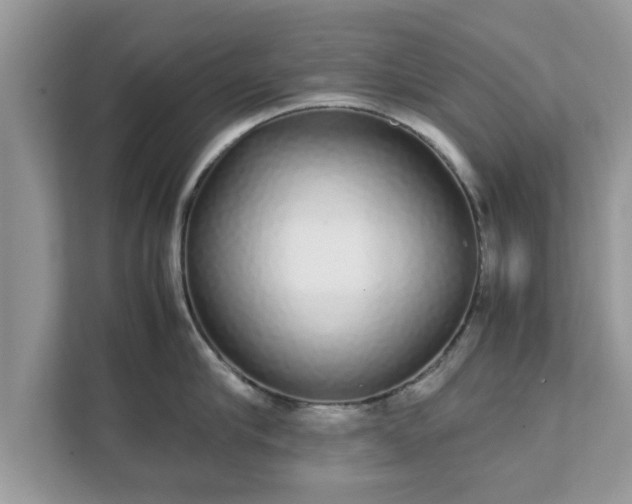 X0000111880910200907301134