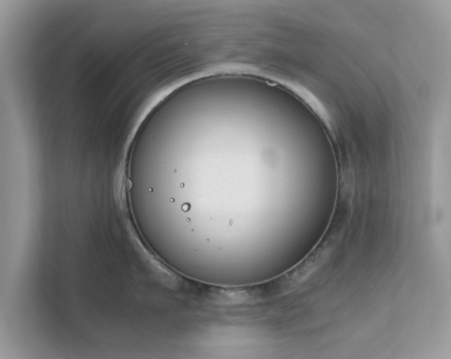 X0000111880911200907301134