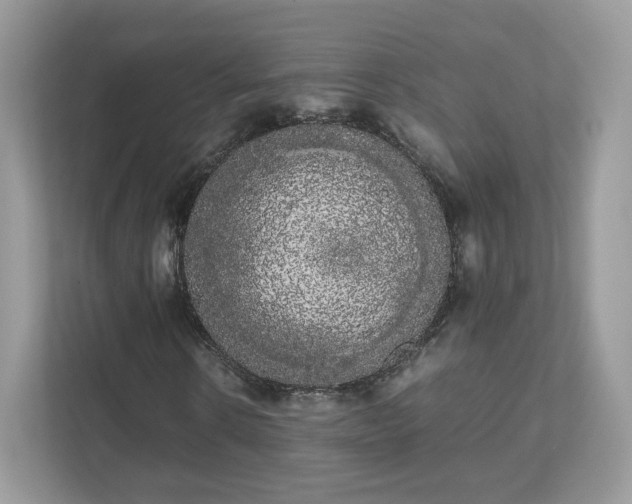 X0000111880914200907301134
