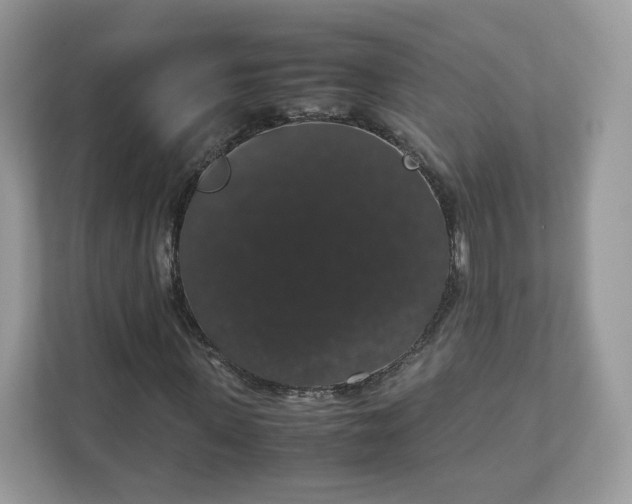 X0000111880915200907301134
