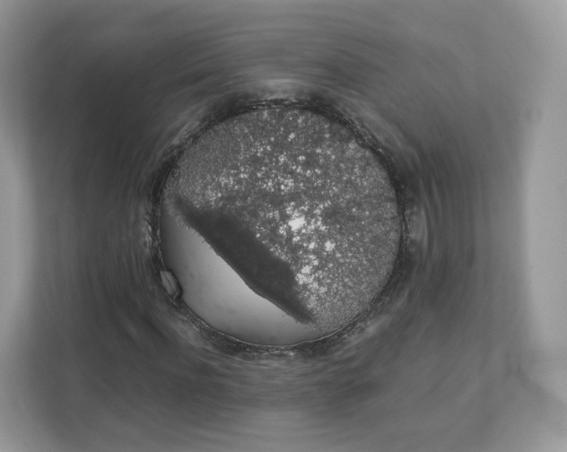 X0000111880916200907301134
