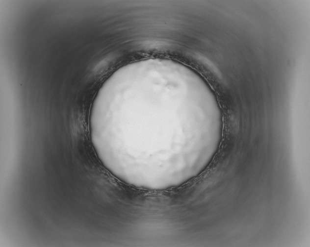 X0000111880918200907301134