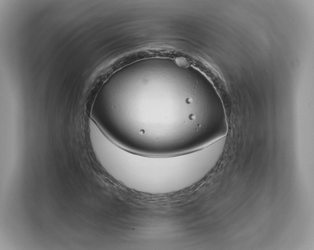 X0000111880920200907301134