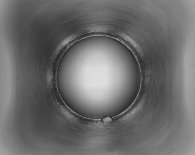 X0000111880922200907301134
