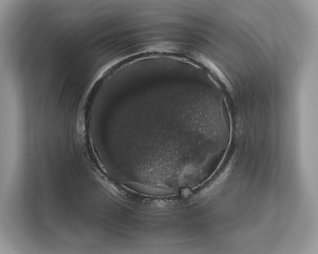 X0000111880923200907301134