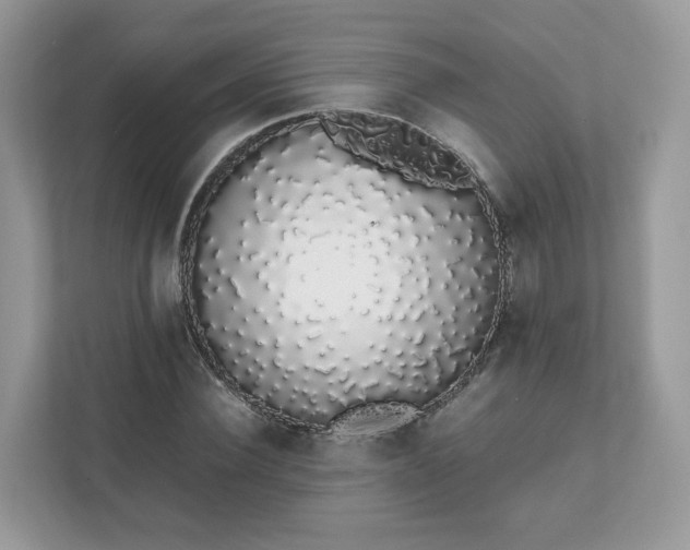 X0000111880924200907301134