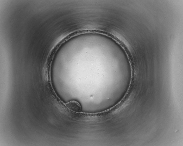 X0000111880925200907301134