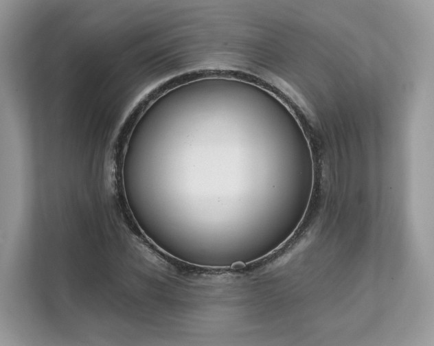 X0000111880926200907301134