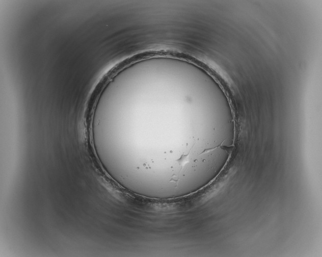 X0000111880927200907301134
