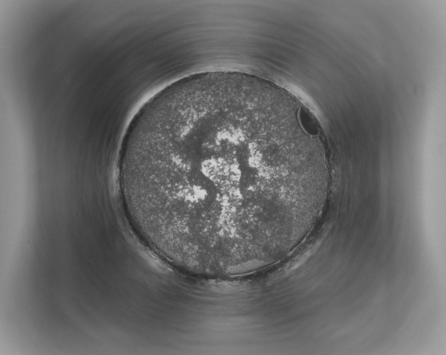 X0000111880928200907301134