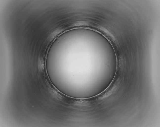 X0000111880929200907301134