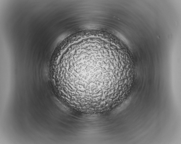 X0000111880930200907301134