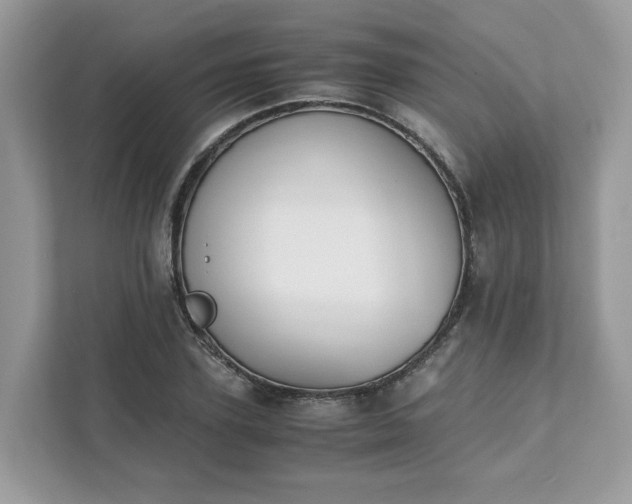 X0000111880931200907301134