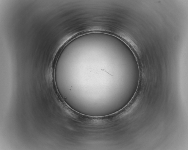 X0000111880933200907301134