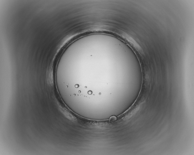 X0000111880934200907301134