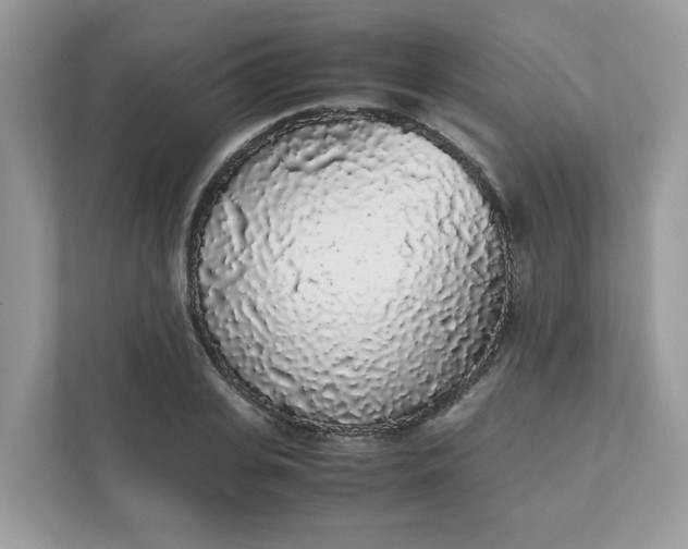 X0000111880935200907301134